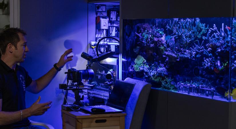 Képalkotó technológiával a korallok védelméért