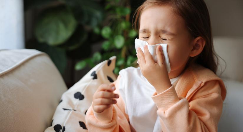 Ha allergiás vagy, ezektől válj meg! – 7 dolog a lakásban, amely ronthatja a panaszaidat
