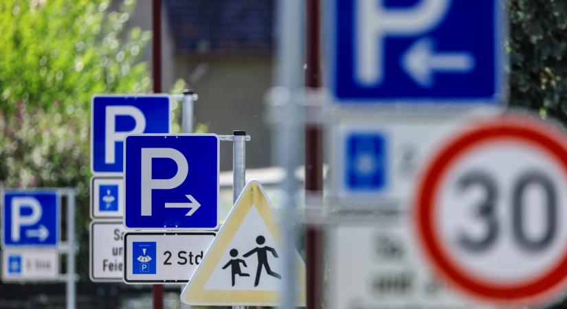 Tábladzsungellel teremtettek őskáoszt a településen
