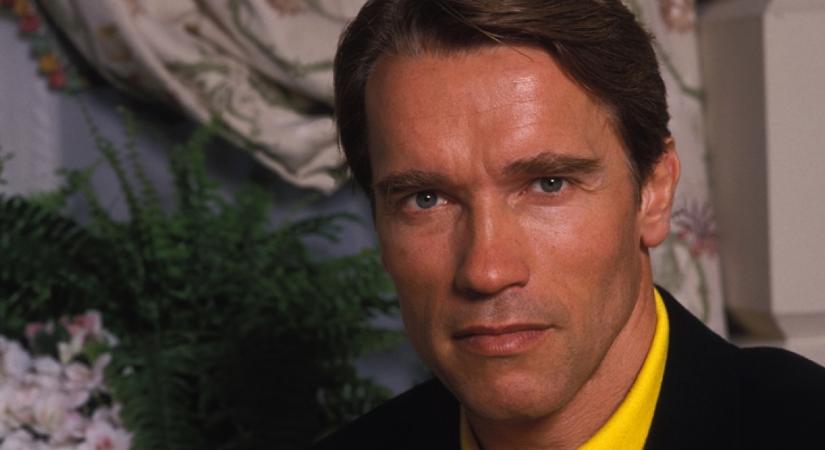 A kritikusok szerint ez Arnold Schwarzenegger egyetlen tökéletes filmje