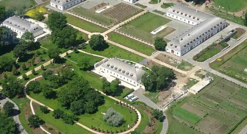 Orbán Győző a Borsnak: Igaztalanul támadják a fiamat rajtam keresztül