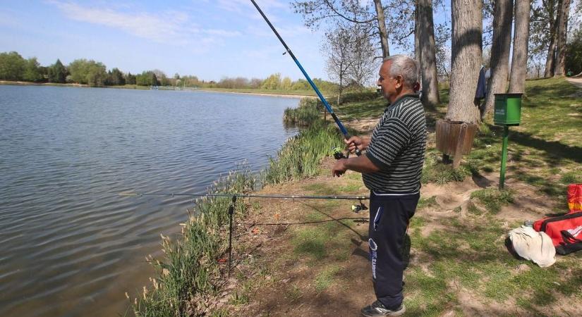 Drasztikus vízszint-csökkenés miatt nem lehet pecázni ezen a baranyai tavon