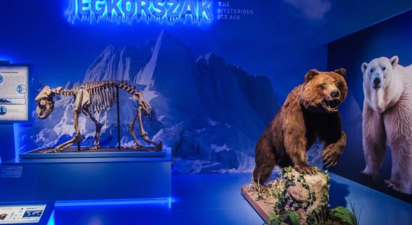 Már ötvenezren látták a szegedi jégkorszakot