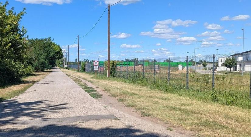 Sérült ragadozót láttak Debrecen határában, sokakat tartott lázban, mi lett a sorsa