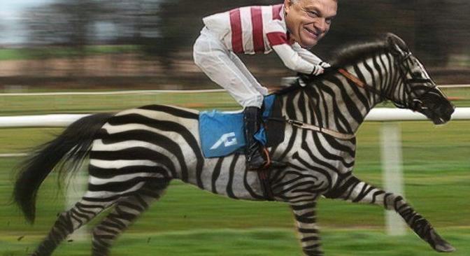 Zebra budapesti bevonuláshoz - Dési János jegyzete