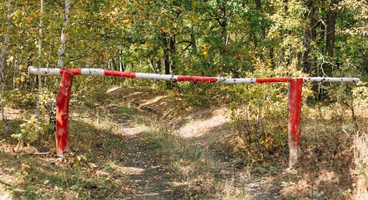 Veszélyes időszak vár a kirándulókra: fontos tilalom lép életbe a magyar erdőkben