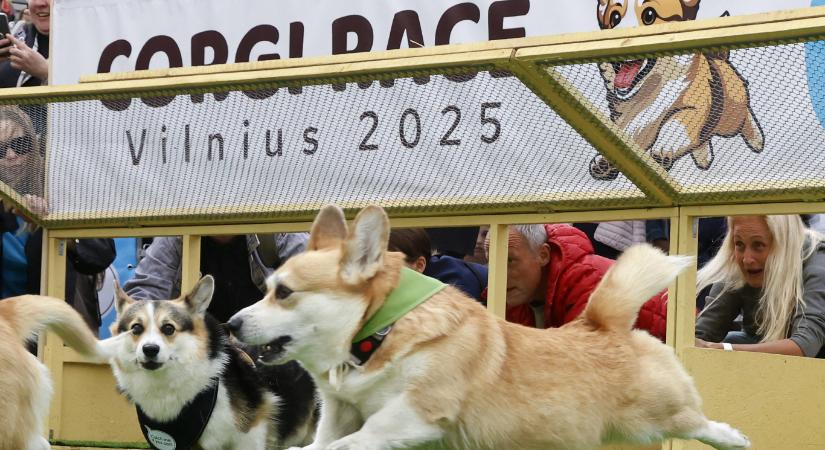 Száguldó versenycorgik lepték el Vilniust