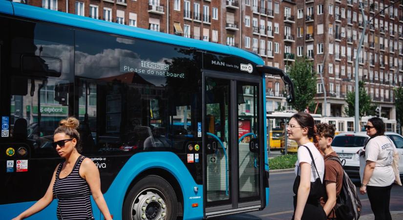 A két jelenlegi vezérigazgató-helyettes is indult a BKK és a BKV cégvezetői pályázatán