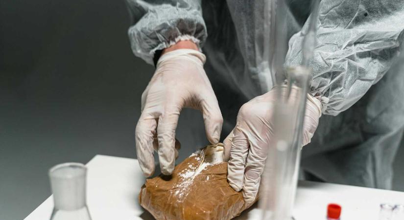 Rekordméretű drogfogás: 23 millió halálos adag kokain