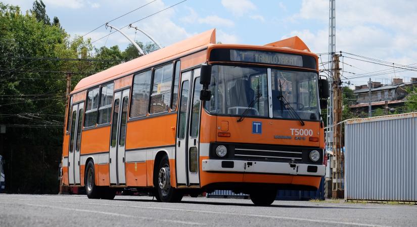 Buszt, villamost, trolit vezetnél? Így kezdj hozzá!