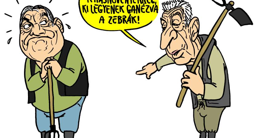 Kezdjük a gazdálkodást