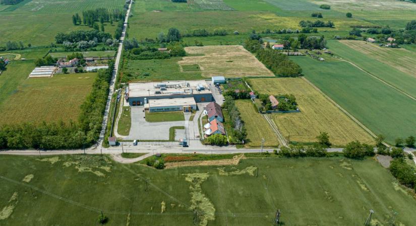 Pénz helyett libában fizet a beszállítóknak Köves Slomóék állami támogatással épült kóser vágóhídja