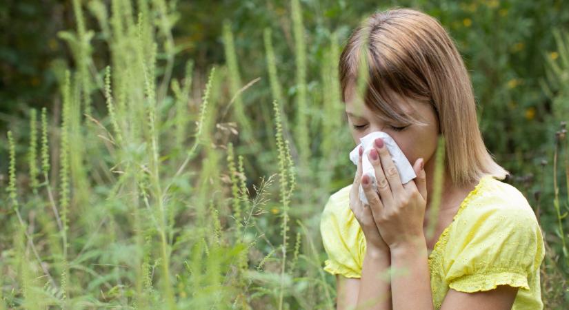 Orvosmeteo: visszatér a hőség, a hét közepére 36 fok is lehet