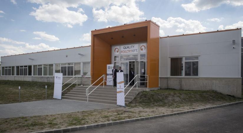 Pénz helyett libában fizet Köves Slomóék kóser vágóhídja