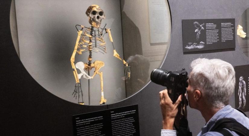Lucy, az előember csontváza először látható Európában