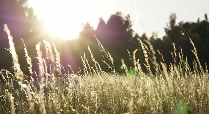 Hűvös augusztus vége után nyárias szeptember: ezt jósolják a meteorológusok