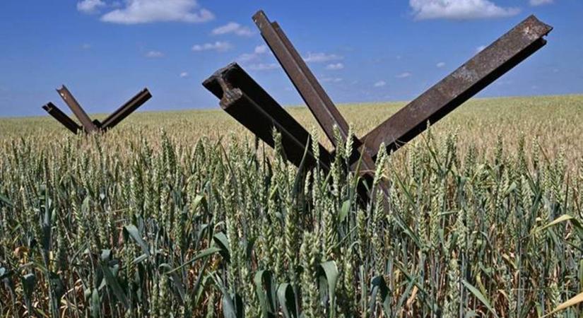 Próbatételek sorával szembesül az ukrán mezőgazdaság