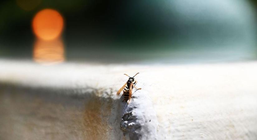 Veszélyes helyzet várható, egy teljes napra be kell zárni az ajtókat és az ablakokat