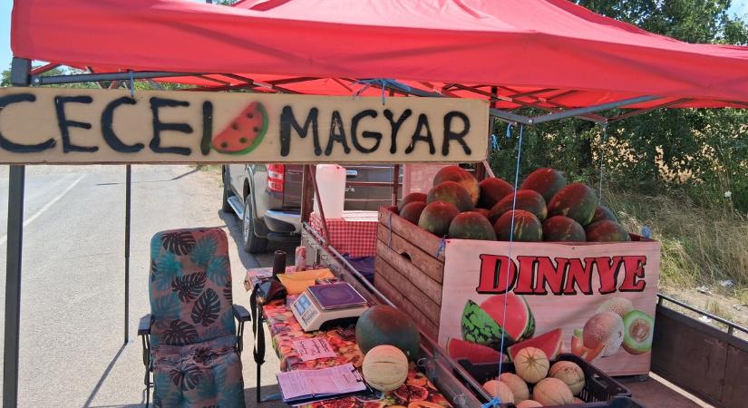 Lerohanta a dinnyéseket a fogyasztóvédelem