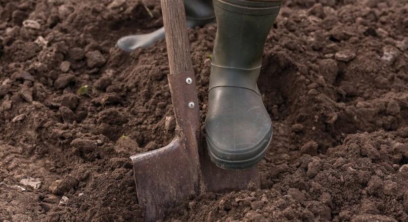 200 millió éves csontokra bukkantak a tómedret ásó falubeliek