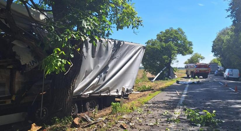 Fának ütközött és meghalt egy kamionsofőr Albárnál a 63-as főúton (FOTÓK)