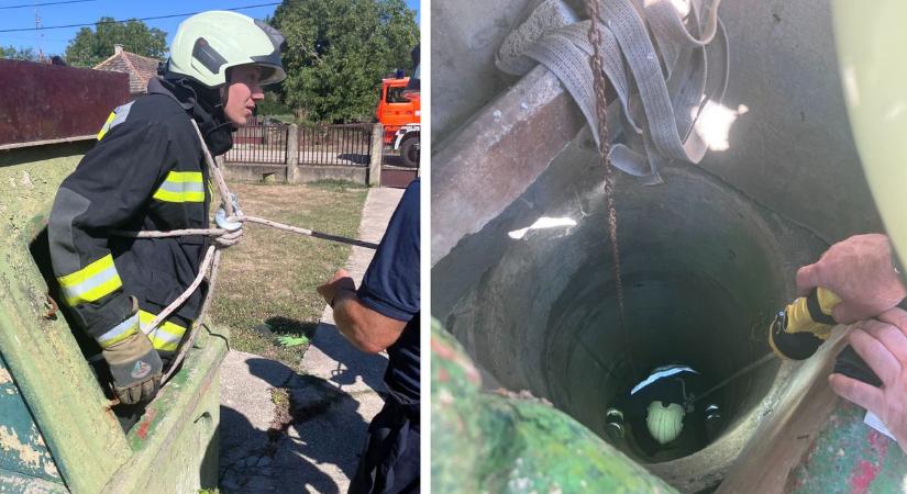 Hősies mentőakció: a kiscica egy 8 méter mély kútba esett