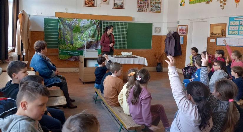 Óriási az érdeklődés az Iskolában az Erdő Program őszi ütemére