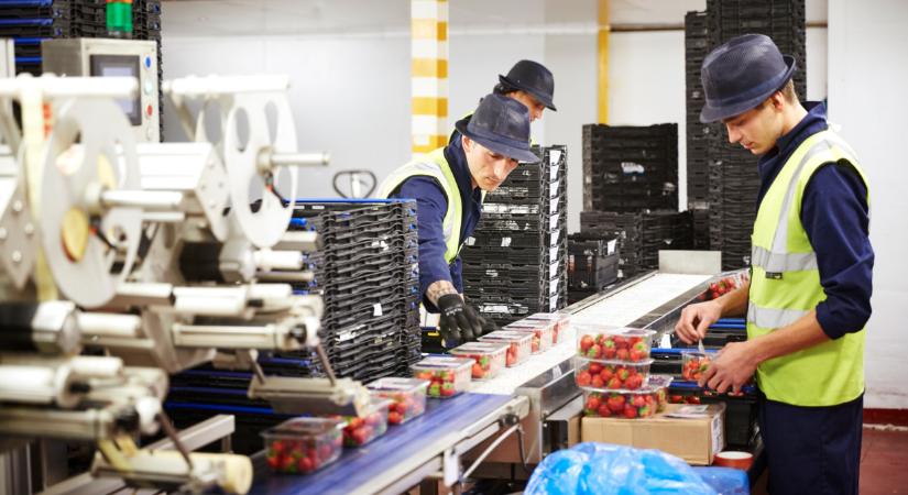 Jön a támogatás: 20 milliárd forintot osztanak szét, sokan örülhetnek