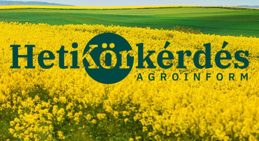 Mit jelent a tápelem-felvételi dinamikához igazított tápanyag-kijuttatás repcében? – Heti Körkérdés