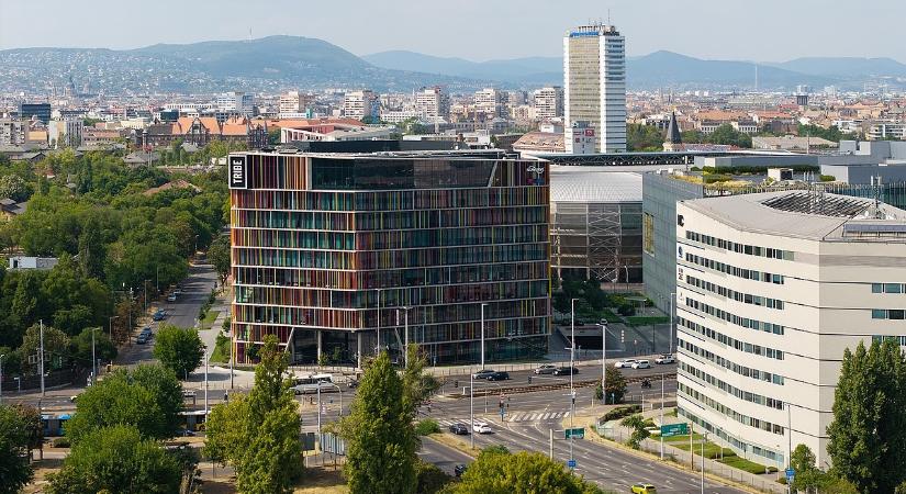 Nagy bejelentést tett az egyik legnagyobb magyar autókereskedő