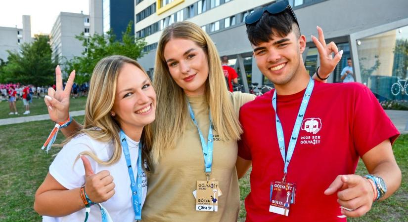 Gólyák lepték el az egyetemet – Sok fotó, videó a színes hullámzásukról