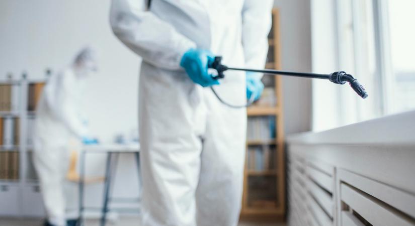 Az ágyi poloska ellen ezt soha ne vesse be: súlyosabbá válik a fertőzés