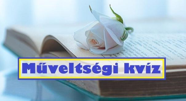 Műveltségi kvíz: Ez a mix garantáltan frissen tartja az agyat (555)