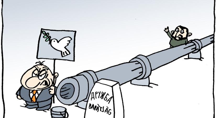 Marabu Féknyúz: Lesz Barátság?