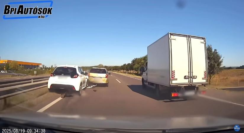 Hajszálon múlt a tragédia: egy kutya miatt karambolozott öt autó a sztrádán