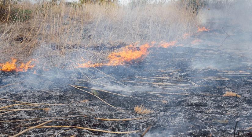Lángolt a föld Zalában – szabadtéri tüzek bárhol előfordulhatnak