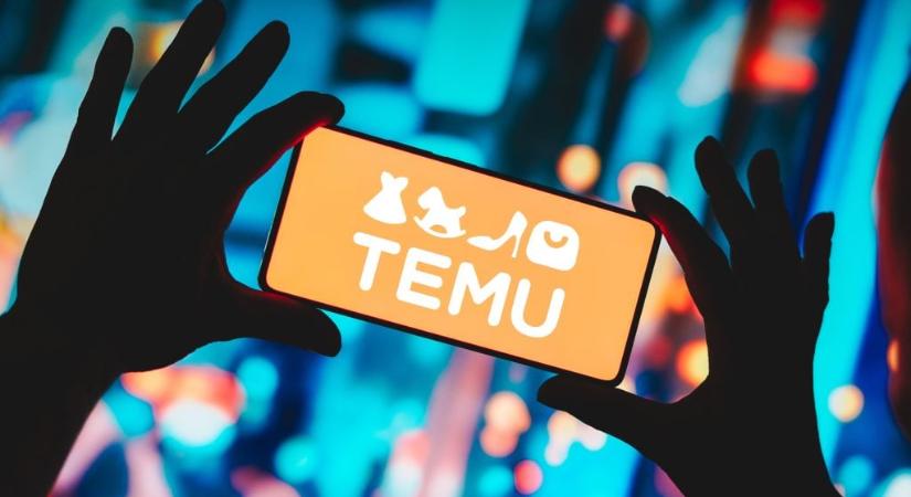 TEMU-botrány: kígyót talált a rendelésében egy magyar nő – mire számíthatunk ezután, ha rendelünk?