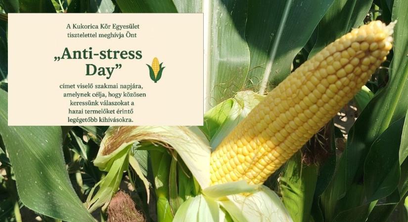 ANTI-STRESS DAY – a Kukorica Kör Egyesület Szervezésében