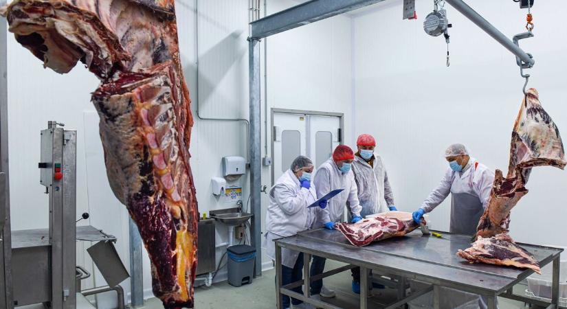 Jöhet az élelmiszeripari beruházási boom: kétszázmilliárd forint támogatásról döntöttek és még nincs vége