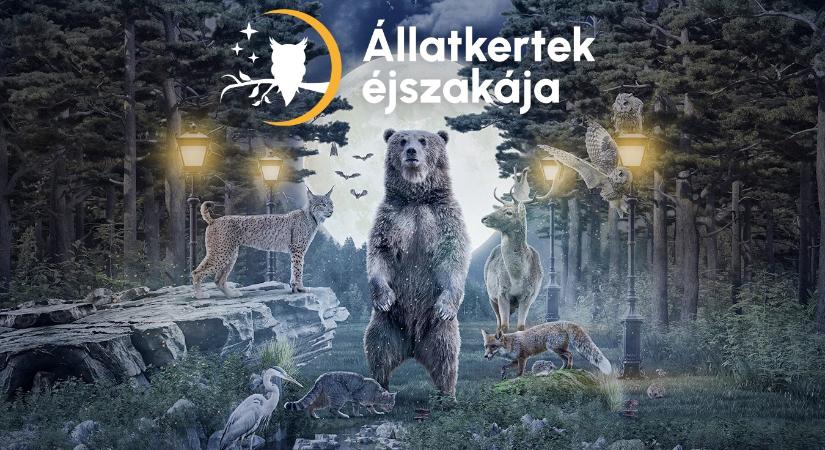 Állatkertek éjszakája – Díjmentesen vehetők igénybe a BKK járatai a Fővárosi Állat-és Növénykertbe váltott belépőjegyekkel