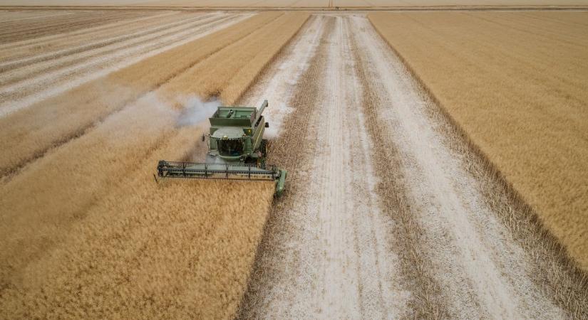 Repcetermesztés új szinten: kimagasló DEKALB-eredmények 2025-ben