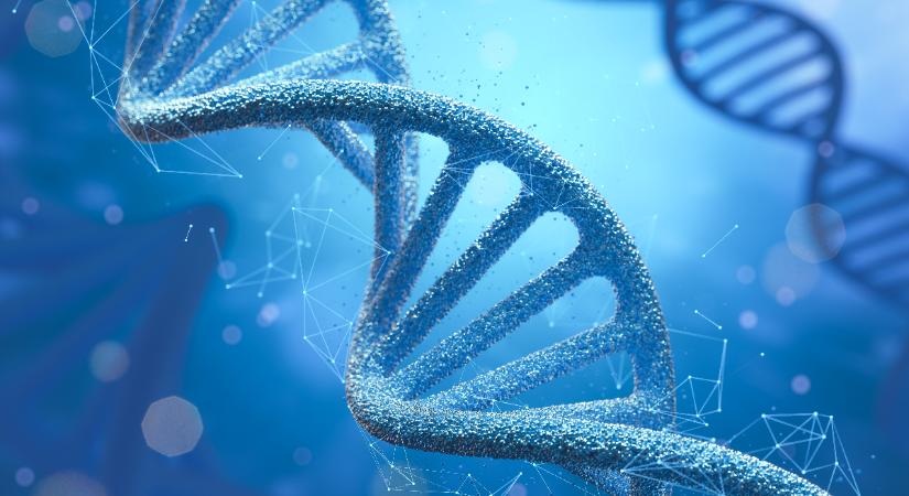 Őseink traumái a DNS-ünkben – epigenetika