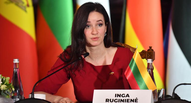 Új miniszterelnöke van Litvániának, egy politikailag tapasztalatlan személy a kormányfő
