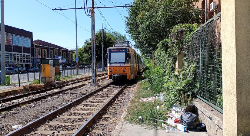 Budapest Európa szemétfővárosa lett (Képek!)