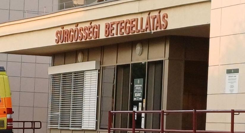 Mentő vitte a debreceni sürgősségire, csak találgatnak, mi csípte meg a hajdú-bihari férfit – fotóval