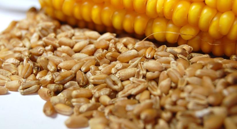 Hazánk a magyar gazdák mellett áll: Tiltjuk az ukrán agrártermékek behozatalát, Brüsszel és Kijev paktuma ellen küzdünk