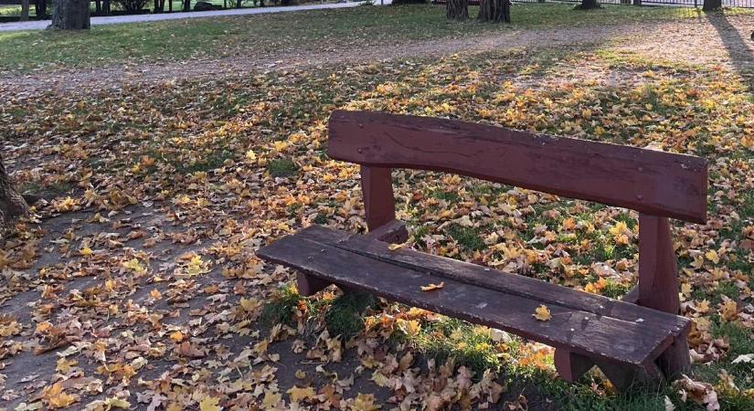 Örökbefogadás egy otthonosabb környezetért