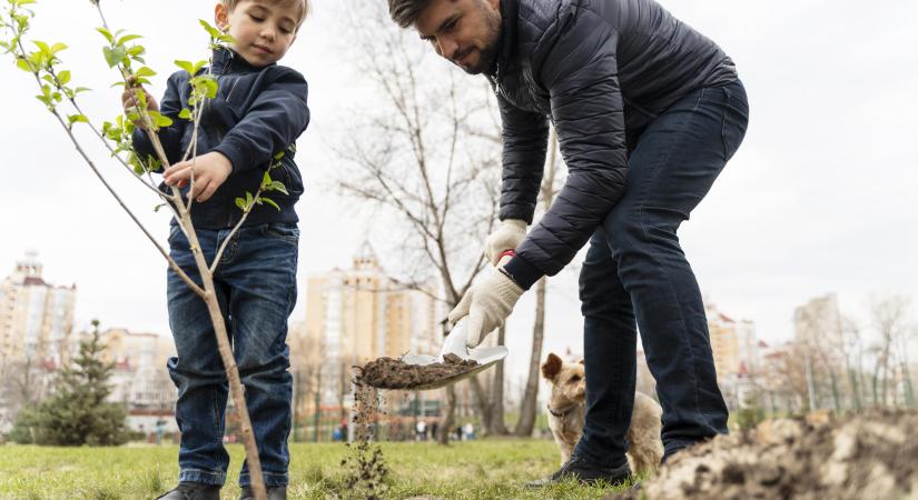 Klímaváltozás: a tömeges faültetés nem elég