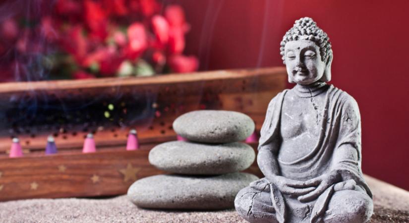 Ez a sokak által imádott szobanövény hatalmas balszerencsét hoz a Feng Shui szerint