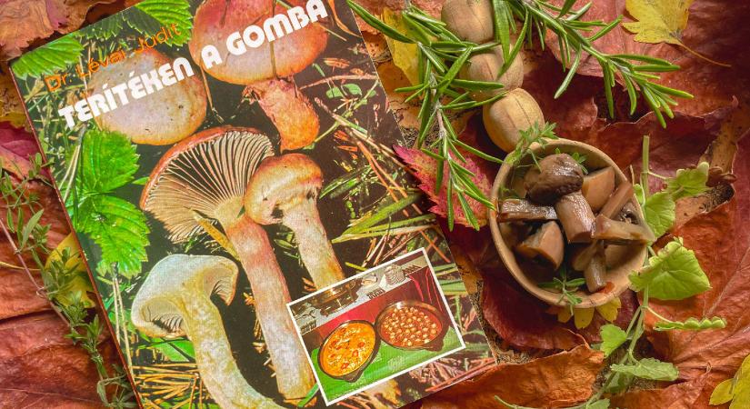 Terítéken a gomba – útmutatóval gombamérgezés esetére